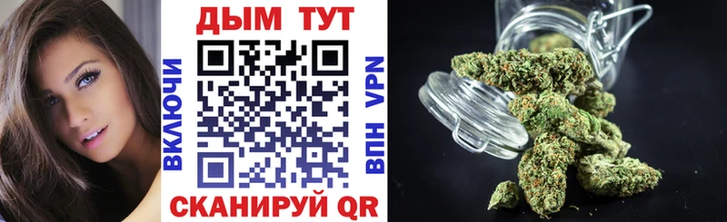Бошки марихуана Amnesia Купить где Канаш